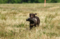 MAY 2019 NEUSE