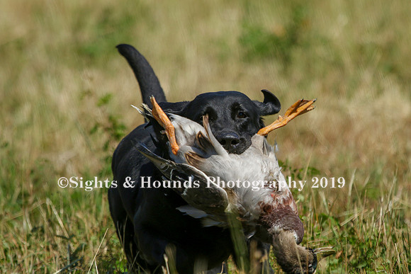 MAY 2019 NEUSE