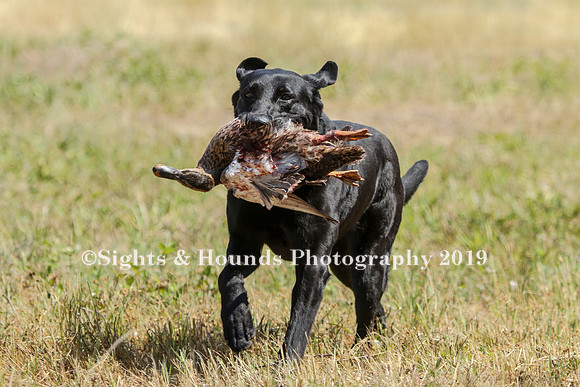 MAY 2019 NEUSE