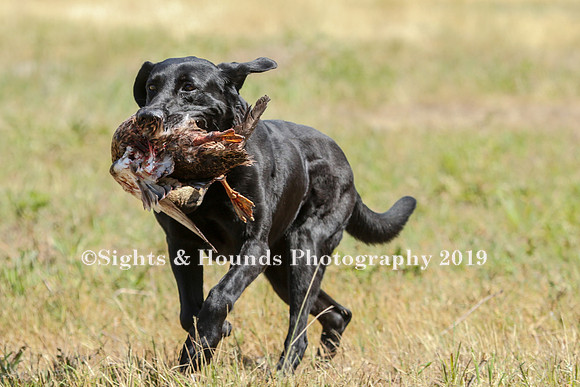 MAY 2019 NEUSE