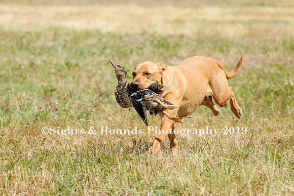 MAY 2019 NEUSE