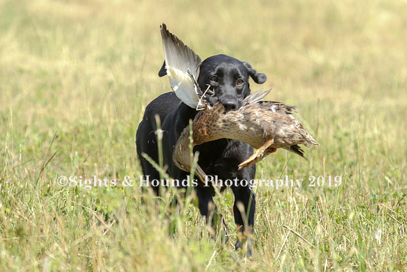 MAY 2019 NEUSE