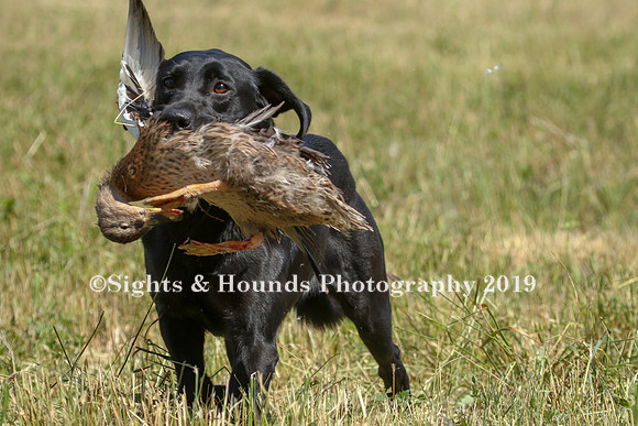 MAY 2019 NEUSE