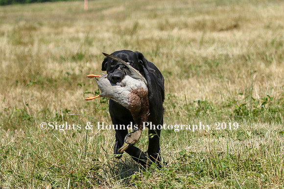 MAY 2019 NEUSE