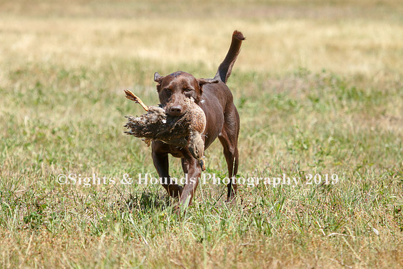 MAY 2019 NEUSE