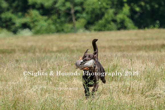 MAY 2019 NEUSE