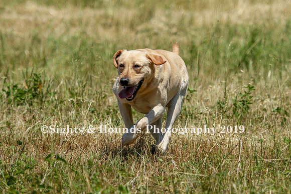 MAY 2019 NEUSE