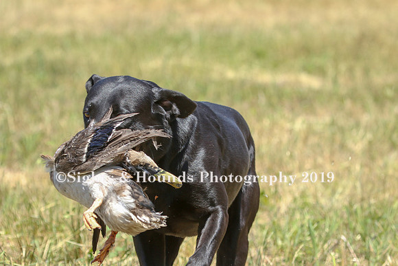 MAY 2019 NEUSE