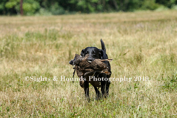 MAY 2019 NEUSE