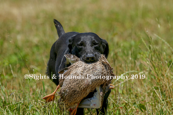 MAY 2019 NEUSE