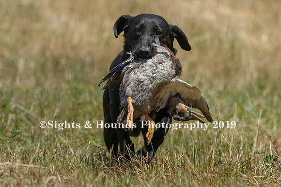 MAY 2019 NEUSE