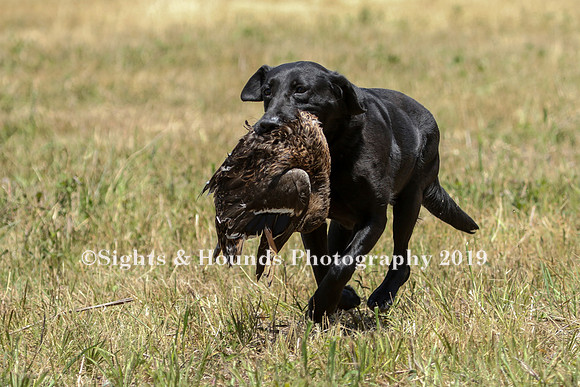 MAY 2019 NEUSE