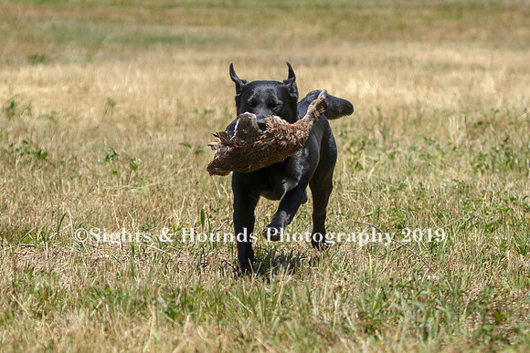 MAY 2019 NEUSE