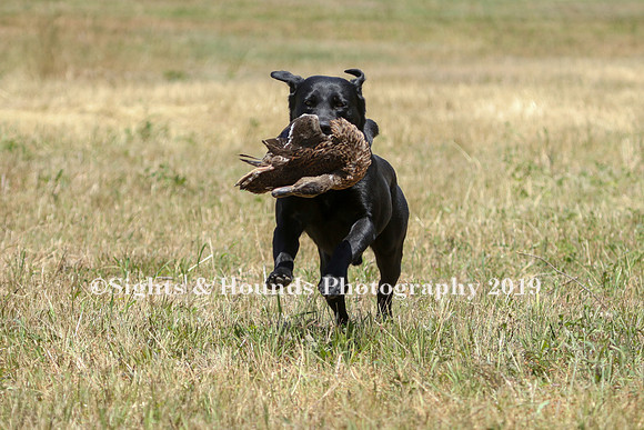 MAY 2019 NEUSE