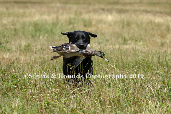 MAY 2019 NEUSE