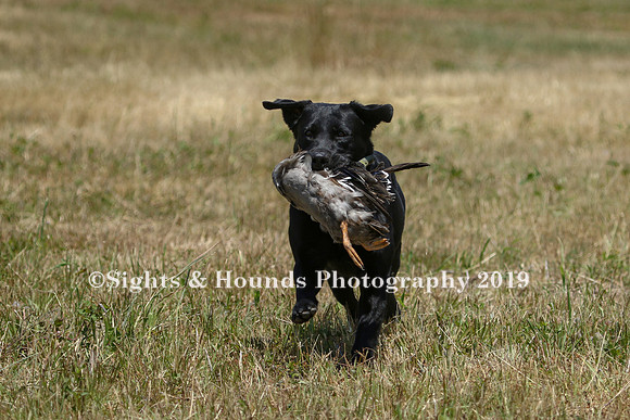 MAY 2019 NEUSE