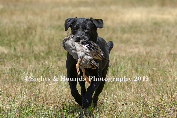 MAY 2019 NEUSE
