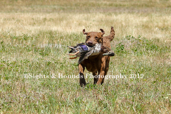 MAY 2019 NEUSE