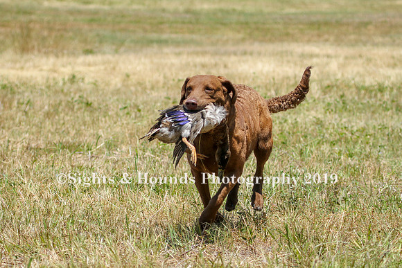 MAY 2019 NEUSE