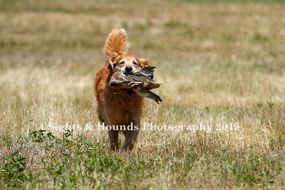 MAY 2019 NEUSE