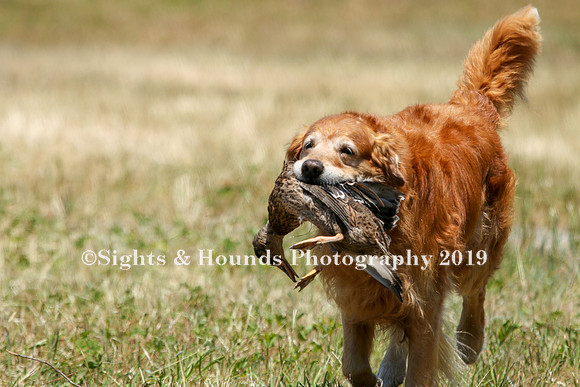 MAY 2019 NEUSE