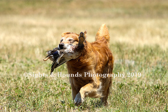 MAY 2019 NEUSE