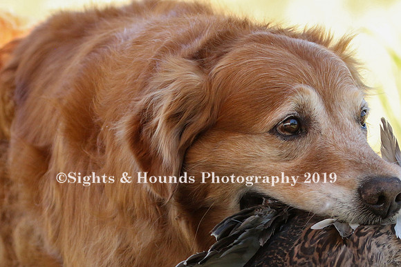 MAY 2019 NEUSE