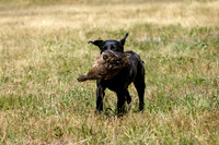 MAY 2019 NEUSE