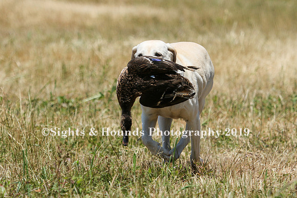MAY 2019 NEUSE