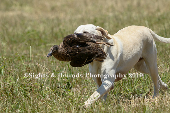 MAY 2019 NEUSE