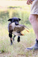 NEUSE RETRIEVER CLUB MAY 2019
