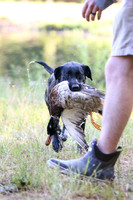 NEUSE RETRIEVER CLUB MAY 2019