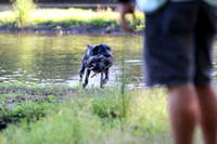 NEUSE RETRIEVER CLUB MAY 2019