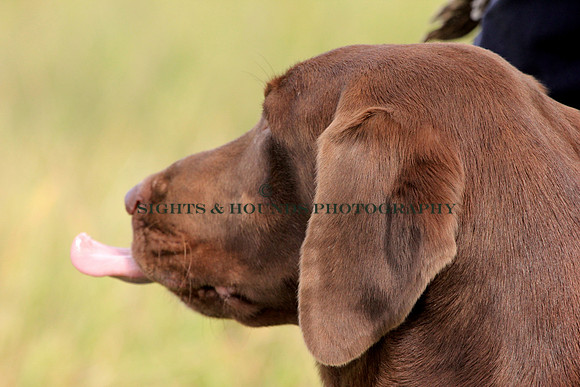 HOSS