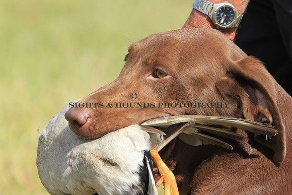 HOSS