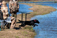 MAY (TEST DOG)