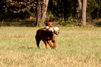 NEUSE RETRIEVER CLUB FALL HUNT TEST 2020