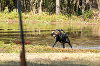 NEUSE RETRIEVER CLUB FALL HUNT TEST 2020