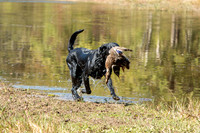NEUSE RETRIEVER CLUB FALL HUNT TEST 2020