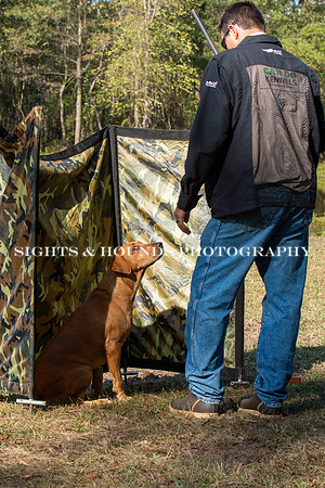 NEUSE RETRIEVER CLUB FALL HUNT TEST 2020