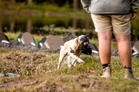 NEUSE RETRIEVER CLUB FALL HUNT TEST 2020
