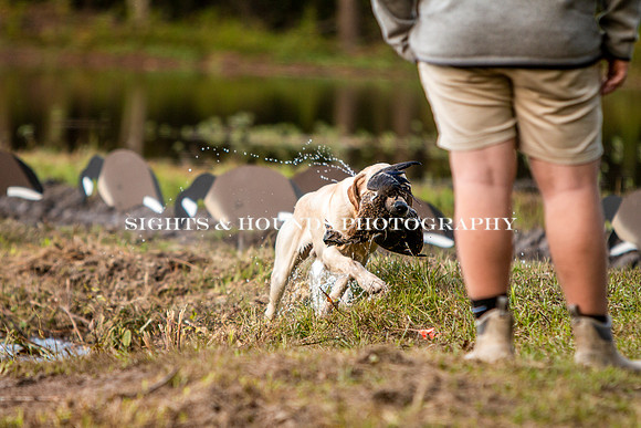 NEUSE RETRIEVER CLUB FALL HUNT TEST 2020