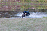 NEUSE RETRIEVER CLUB FALL HUNT TEST 2020