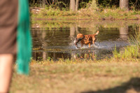 NEUSE RETRIEVER CLUB FALL HUNT TEST 2020
