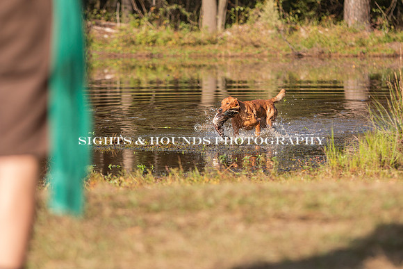 NEUSE RETRIEVER CLUB FALL HUNT TEST 2020