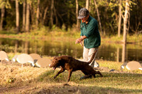 NEUSE RETRIEVER CLUB FALL HUNT TEST 2020