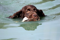 Sunday Water Tests