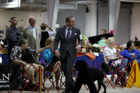 Best In Show
