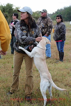 Test Dog
