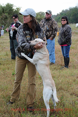 Test Dog